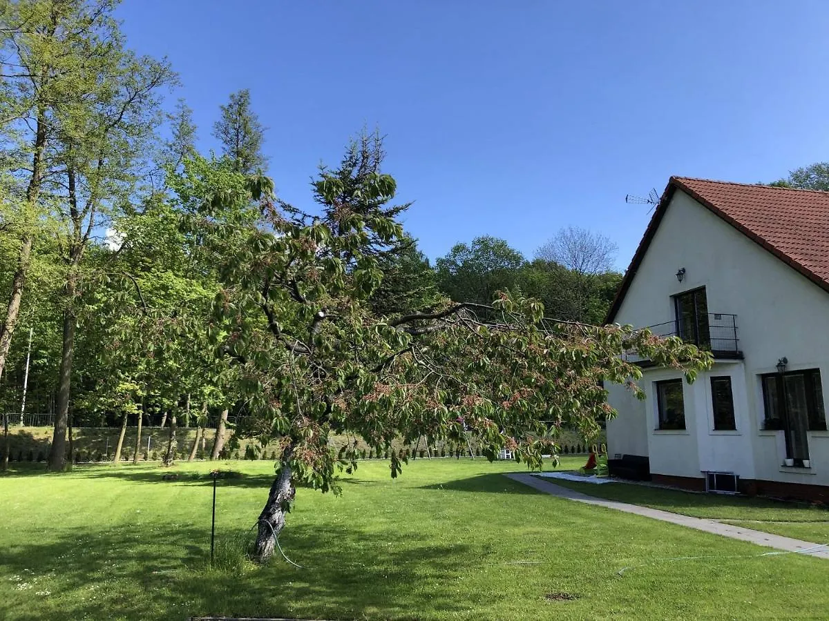 Apartmán Apartament Olszynka Gdaňsk